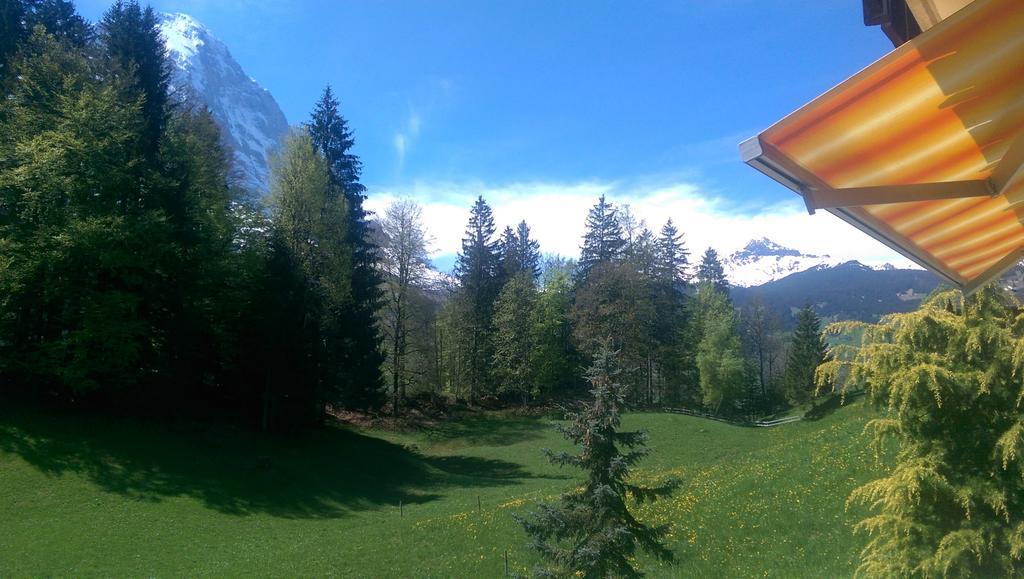 Mom - Alpine Boutique Apartments, Grindelwald Gletscher, Eiger View Terrace Studio Habitación foto