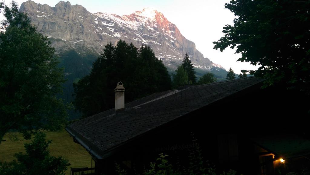 Mom - Alpine Boutique Apartments, Grindelwald Gletscher, Eiger View Terrace Studio Habitación foto